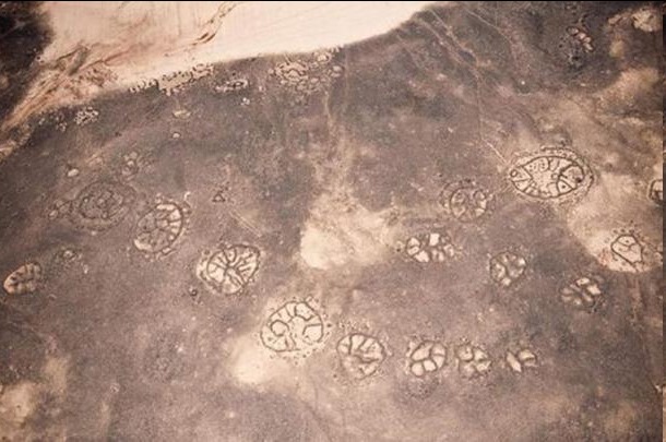 Géoglyphes d'Embryons dans le desert de Jordanie